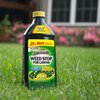 Spectracide Weed Stop Weed Killer Concentrate 40 oz HG-96623